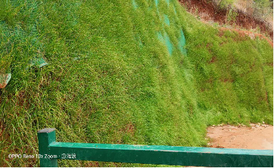大理雙廊、挖色片區(qū)尾水塘庫一期整治工程